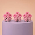 The Triple Blush Poms