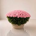 A large basket filled with 200 pink roses by Day & Night flowers in United Arab Emirates, Same-Day Delivery, Open 24hrs