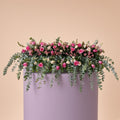 The Pink Cascade Mini