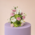 The Pastel Atelier