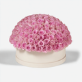 100 Pink Roses Round Dome