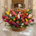 Rainbow of Tulips