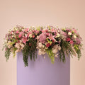 The Blush Waterfall