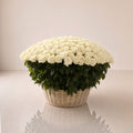 Premium White Rose Basket