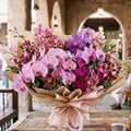 Mix Orchids