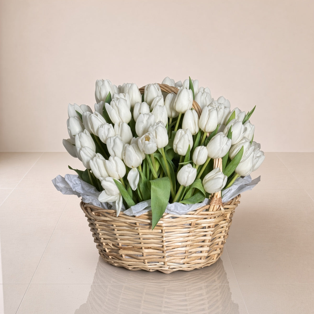 White Beauty Tulips