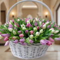 Tulip Harmony
