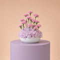 The Lilac Bowl