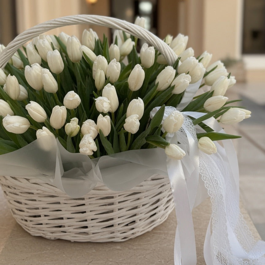 60 White Beauty Tulips