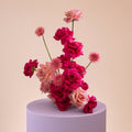 The Fuchsia Fountain