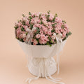 Tiny Pink Roses