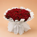 Deep Red Roses