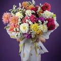 XL Dahlias