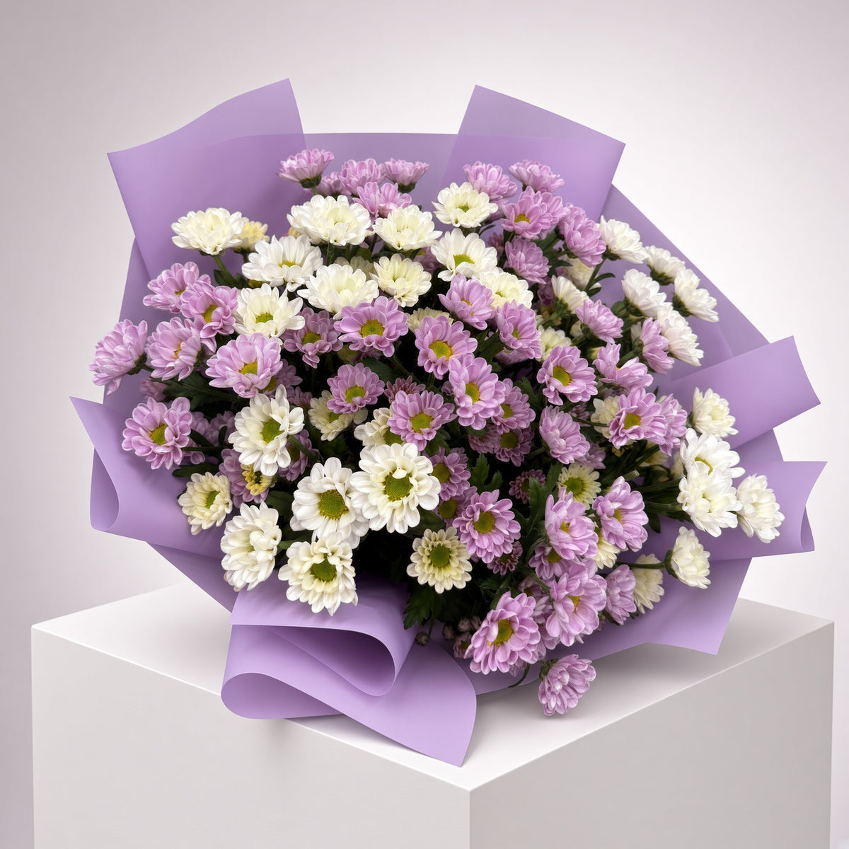 Purple Enchant