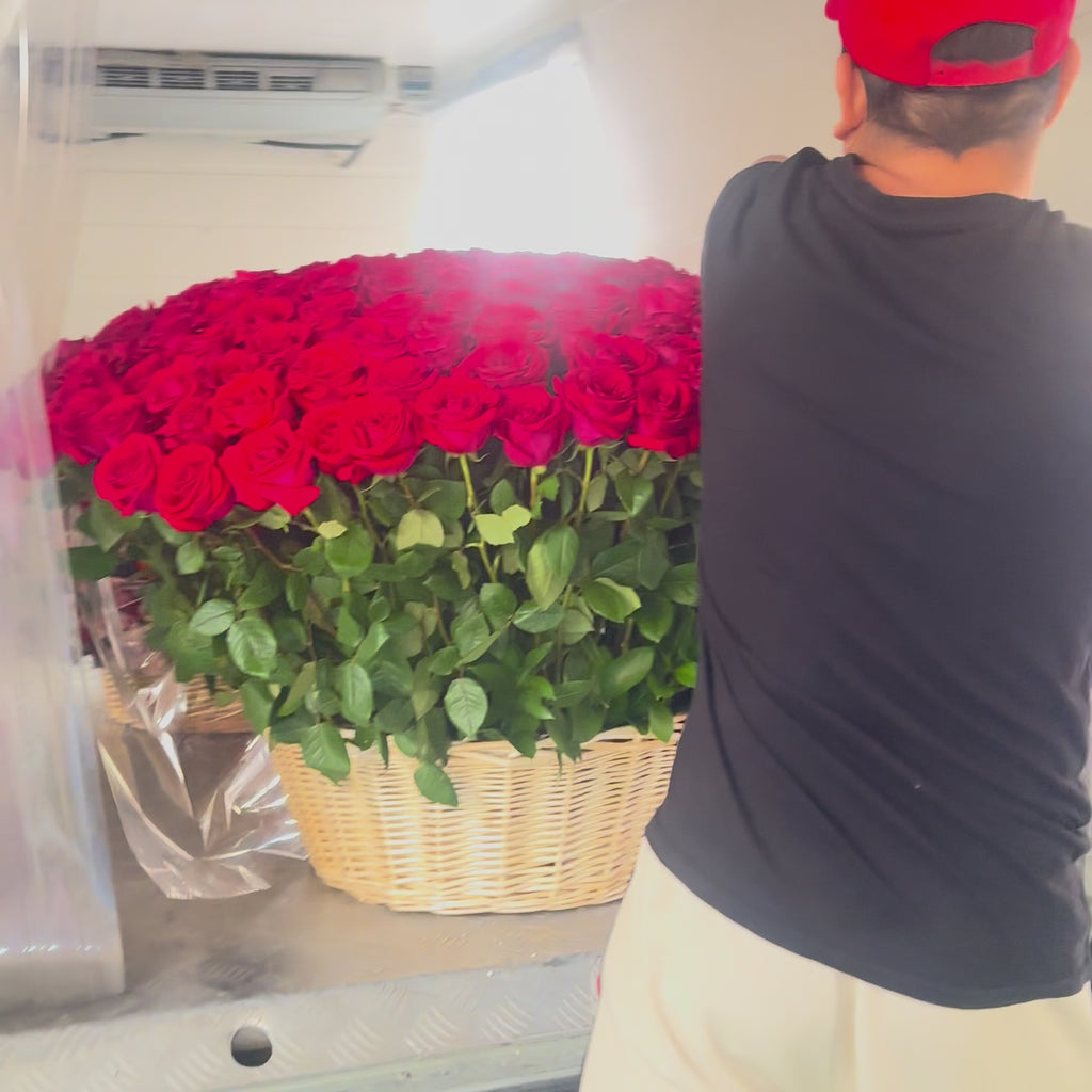 200 Premium Red Roses in basket