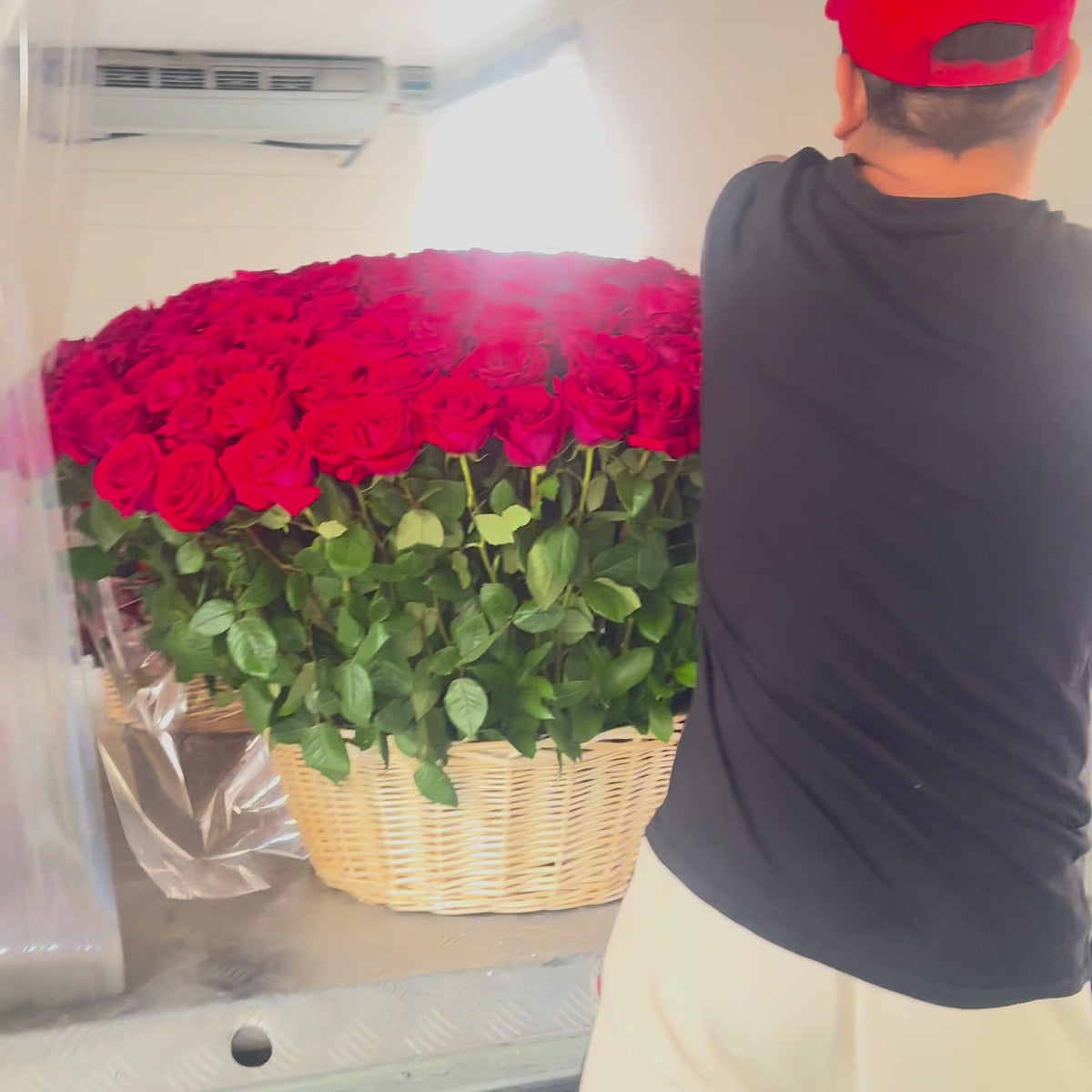 200 Premium Red Roses in basket