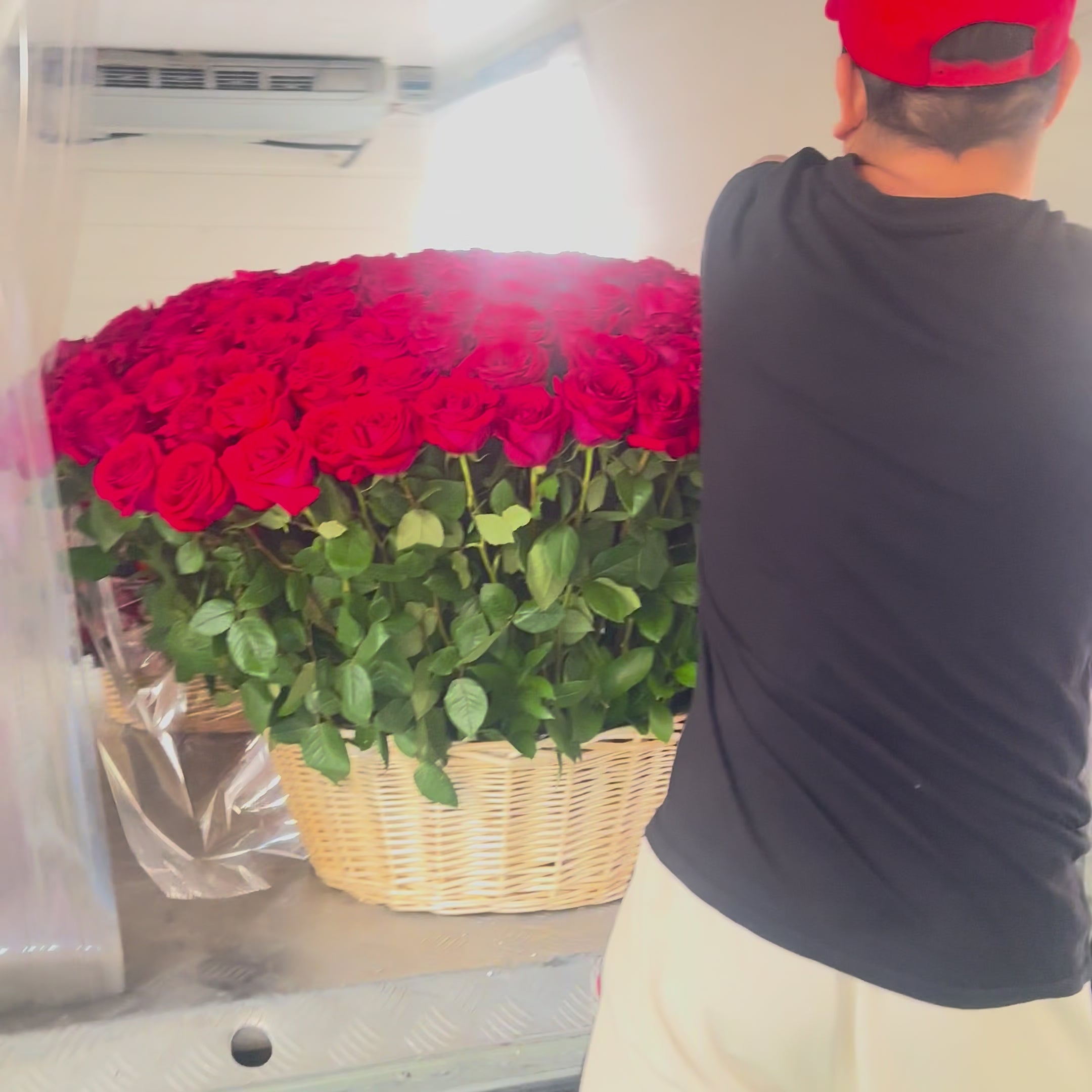 200 Premium Red Roses in basket