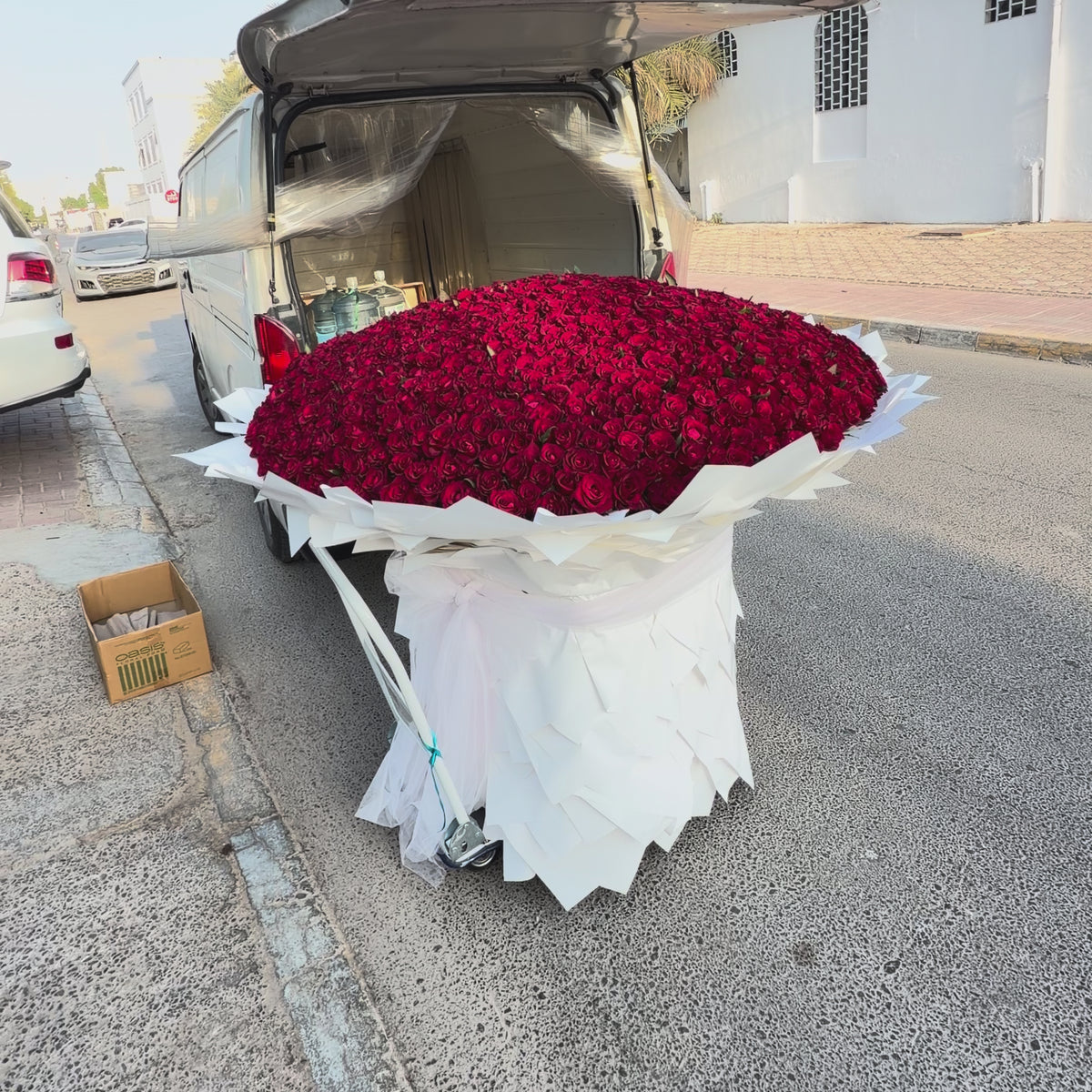 Giant 500 Premium Red Roses
